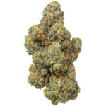 THCA Flower Exotic Purple Push Pop x Jealousy (H)
