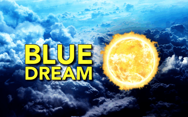 Blue dream disposable CBD Vape