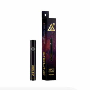 iDelta Premium Starter Battery