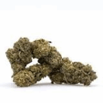 THCA Flower Ice Cookies - Exotic Indica