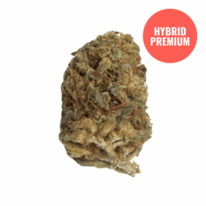 THCA Flower Killer Cupcake - Premium Hybrid