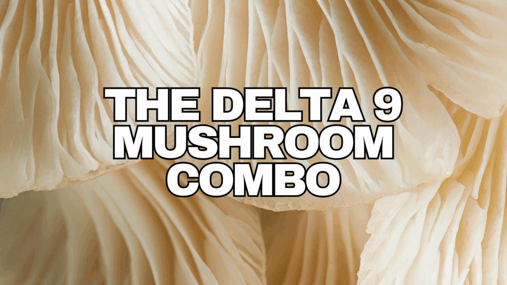 THE DELTA 9 MUSHROOM COMBO RESTART CBD MAGIC MUSHROOM