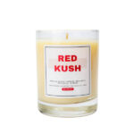 Candles & Air Filters