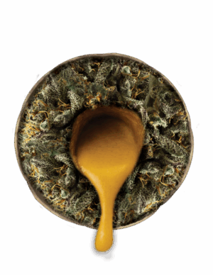 THCA Pre-Rolls infused with THCA Rosin  2.25G Donuts