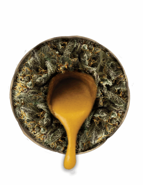 THCA Premium Diamond Coated Rosin Infused Pre-Rolls 2.5G - Image 2