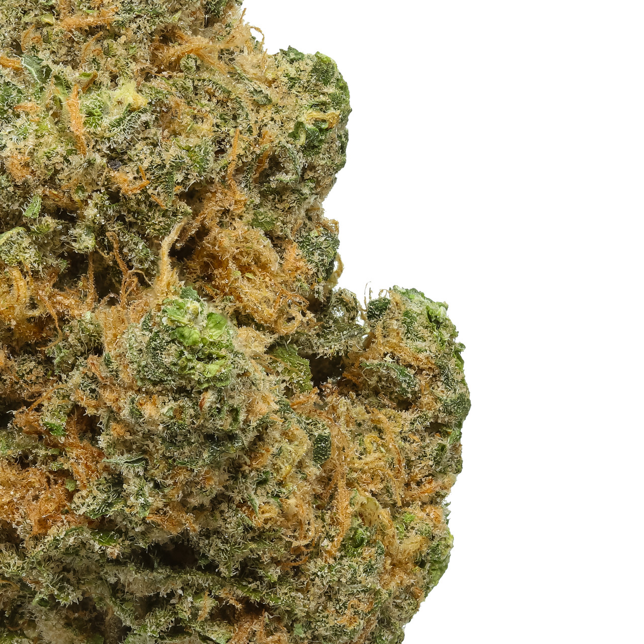THCA Flower Premium Blue Dream (Sativa/H) - Image 3