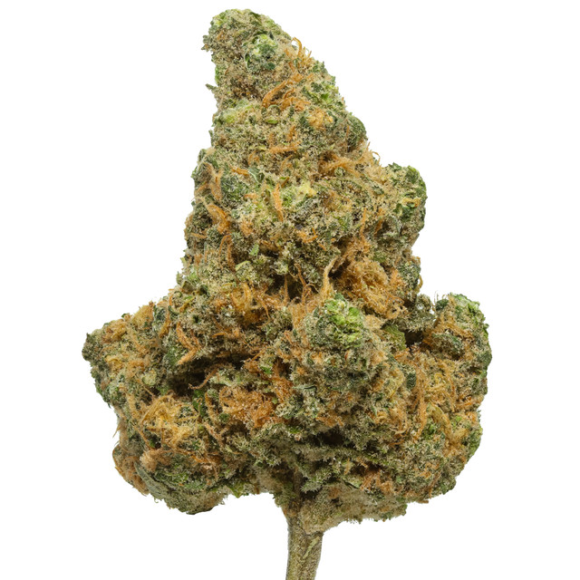 THCA Flower Premium Blue Dream (Sativa/H) - Image 2