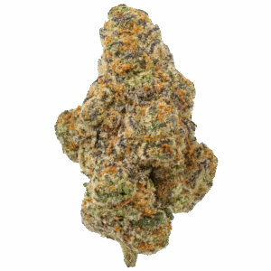 THCA Flower Premium Glitter Bomb (H)