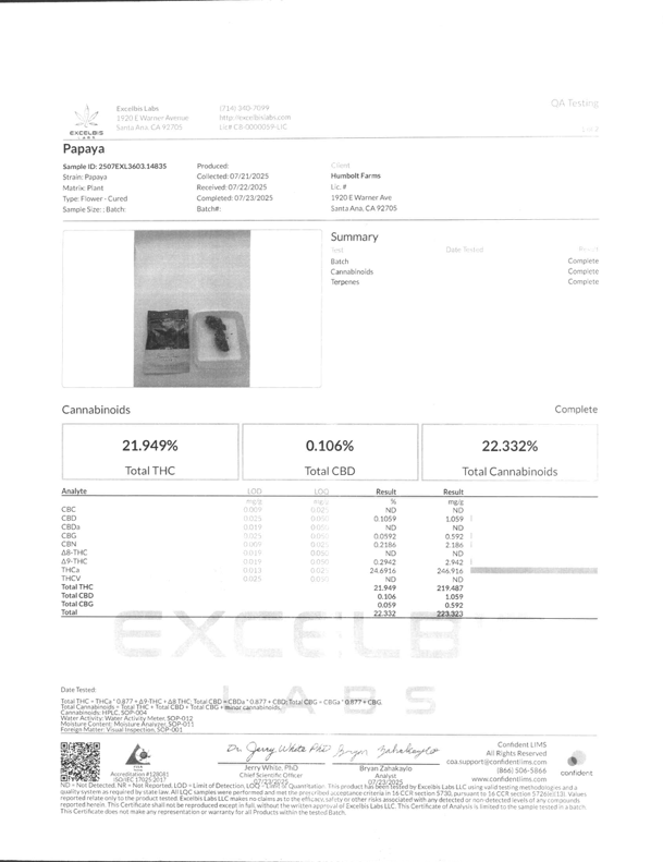THCA Premium Flower Papaya Bomb (S/H) - Image 3