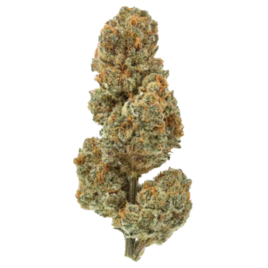 THCA Flower Premium Blueberry Lobster (Hybrid)