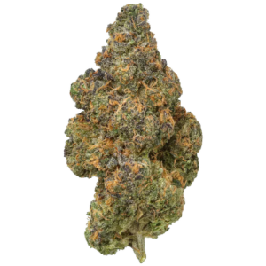 THCA Flower Premium Black Maple (I)