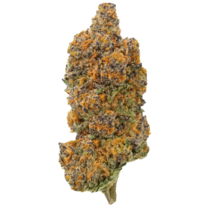 THCA Flower Premium Sundae Gelato (H)