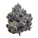 Luxury High THCA Flower Crazy 88 (H) -  Private Preserve Guccizz