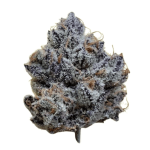 Luxury High THCA Flower Crazy 88 (H) -  Private Preserve Guccizz