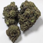 Luxury High THCA Flower Cuban Black Haze (S) -  Private Preserve Guccizz