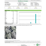 Loustash High THCA Flower Sugar Bomb Punch (H)