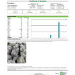 Guccizz Luxury High THCA Flower Underdawg OG (H)