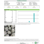 Loudstash High THCA Flower Assorted Strains 28G