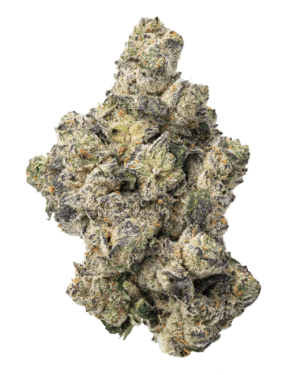 Guccizz Luxury High THCA Flower (H/I) Waffle Cone