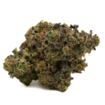 Guccizz Luxury High THCA Flower Hash Burger (I)