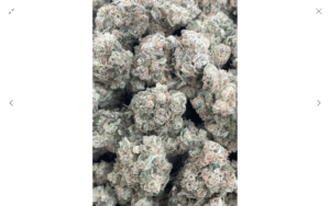 Guccizz Luxury High THCA Flower (S) Chernobyl