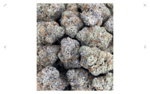 Guccizz Luxury High THCA Flower (H) Galactic Glue