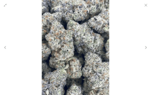 Guccizz Luxury High THCA Flower (H) Grape Durbz