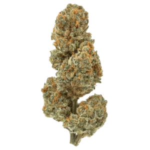 Premium THCA Flower (I) Blue Lobster