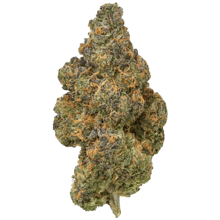 Premium THCA Flower Black Maple (I)