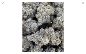 Guccizz Luxury High THCA Flower (I) Breakfast Toast