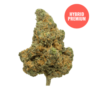 Premium THCA Flower (S/H) Blue Dream