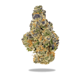 Boutique Exotic THCA Flower (H/I) Purple Rhino