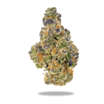 Boutique Exotic THCA Flower (H/I) Purple Rhino