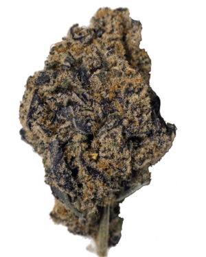 Boutique Exotic THCA Flower 28G (Restocking 3/17-18)