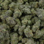 PRE-ORDER: AAA Exotic THCA Flower (S) Mango Mentality 28G (Case of 6)