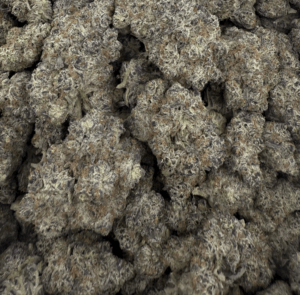 Exotic THCA Flower (I) Black Truffle (Restocking 3-17/18)