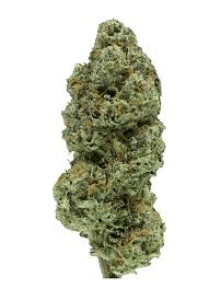 Guccizz Luxury High THCA Flower (H) Khronix