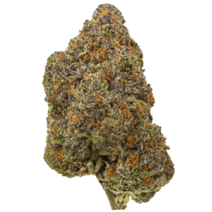 Premium THCA Flower (S) Tres Leches