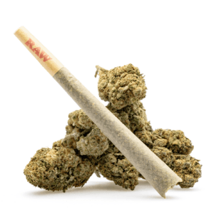 CBG Pre-Roll (H) 1.5G